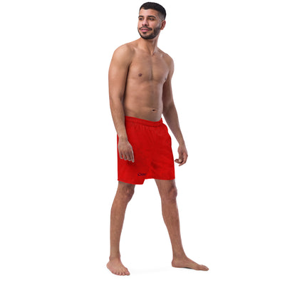 Men's Shorts and Swimtrunks