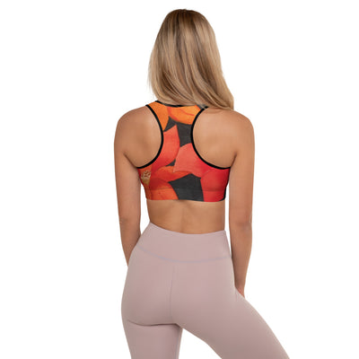 LindaJean Sports Bra