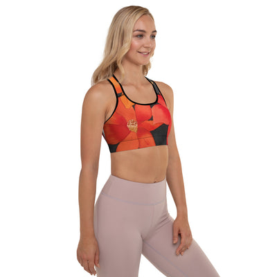 LindaJean Sports Bra