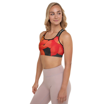 LindaJean Sports Bra