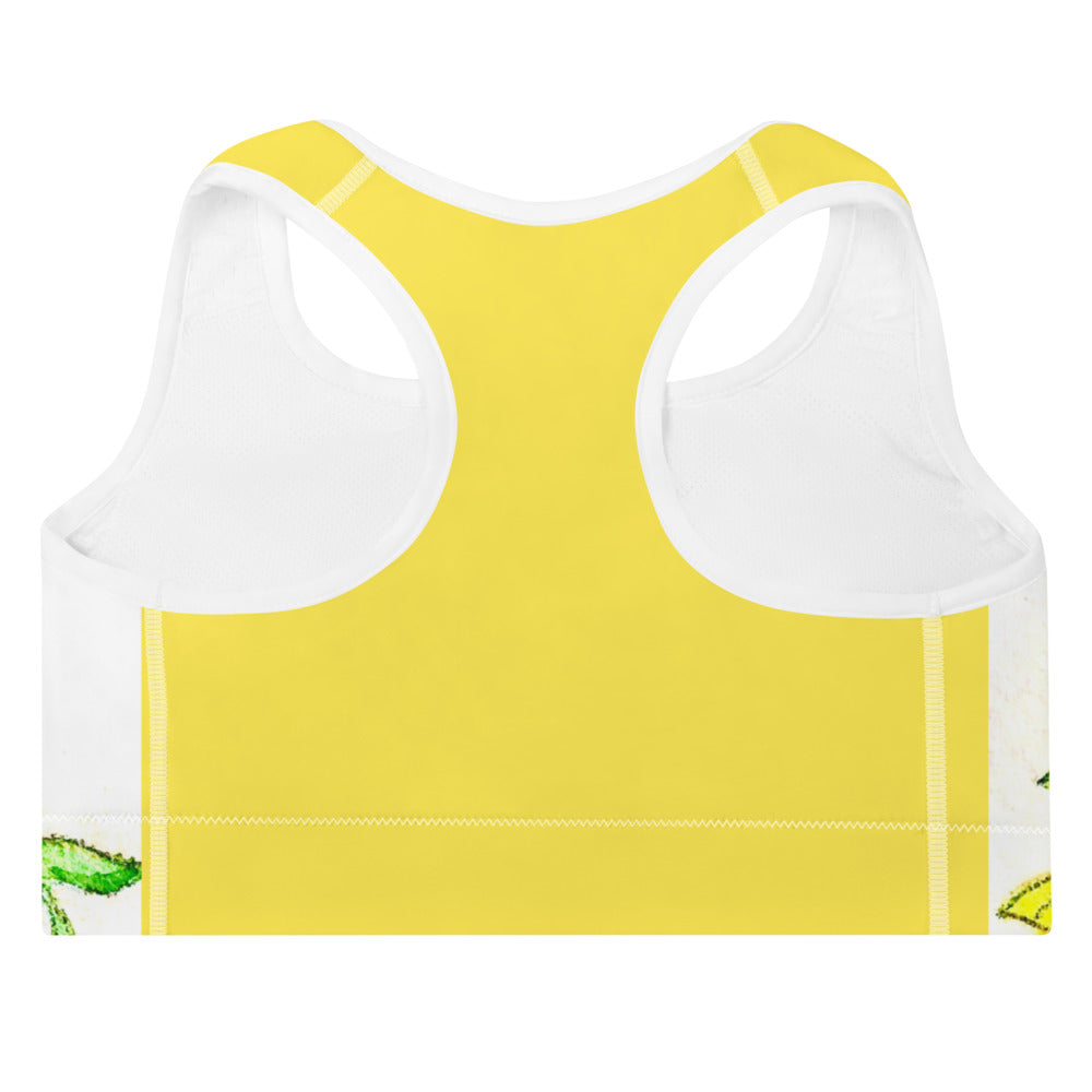 LindaJean Padded Sports Bra